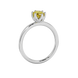 Side profile, white gold canary yellow ring, scalloped six-prong gallery.