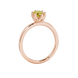 Side profile, rose gold canary yellow ring, scalloped six-prong gallery.