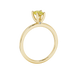 Side profile, yellow gold canary yellow ring, surprise diamond gallery.