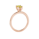 Side profile, rose gold canary yellow ring, surprise diamond gallery.