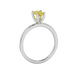 Side profile, white gold canary yellow ring, surprise diamond gallery.