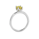 Side profile, white gold canary yellow ring, tulip basket gallery.