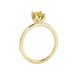 Side profile, yellow gold canary yellow ring, tulip basket gallery.