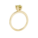 Side profile, yellow gold canary yellow ring, vintage basket gallery.