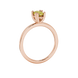 Side profile, rose gold canary yellow ring, vintage basket gallery.