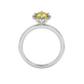 Round-cut canary yellow gemstone solitaire ring in a white gold French pavé halo diamond setting.