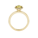 Round-cut canary yellow gemstone solitaire ring in a yellow gold French pavé halo diamond setting.