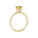 Side angle of a yellow gold canary yellow gemstone ring displaying the surprise diamond setting.