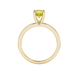 Round-cut canary yellow gemstone solitaire ring in a yellow gold surprise diamond setting.
