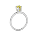 Side profile, white gold canary yellow ring, six prong gallery.