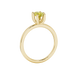 Side profile, yellow gold canary yellow ring, six prong gallery.