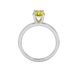 Oval cut canary yellow gemstone ring, white gold classic basket setting.