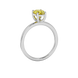 Side profile, white gold canary yellow ring, classic basket gallery.