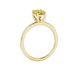 Side profile, yellow gold canary yellow ring, classic basket gallery.