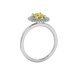 Side profile, white gold canary yellow ring, falling edge halo gallery.