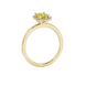 Side profile, yellow gold canary yellow ring, french pavé halo gallery.