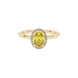 Close-up, oval cut canary yellow gemstone, yellow gold french pavé halo ring