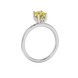 Side profile, white gold canary yellow ring, lotus basket gallery.