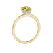 Side profile, yellow gold canary yellow ring, pavé basket gallery.