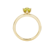 Side profile, yellow gold canary yellow ring, scalloped six prong gallery.