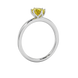 Side profile, white gold canary yellow ring, scalloped six prong gallery.