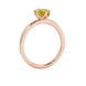 Side profile, rose gold canary yellow ring, scalloped six prong gallery.