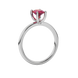 Side profile, white gold raspberry red ring, surprise diamond gallery.