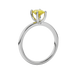 Side profile, white gold canary yellow ring, surprise diamond gallery.