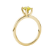 Side profile, yellow gold canary yellow ring, surprise diamond gallery.