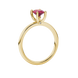 Side profile, yellow gold raspberry red ring, surprise diamond gallery.