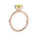 Side profile, rose gold canary yellow ring, surprise diamond gallery.
