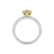 Oval cut canary yellow gemstone ring, white gold tulip basket setting.