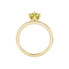 Oval cut canary yellow gemstone ring, yellow gold tulip basket setting.