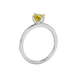 Side profile, white gold canary yellow ring, tulip basket gallery.