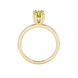 Oval cut canary yellow gemstone ring, yellow gold vintage basket setting.