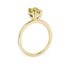 Side profile, yellow gold canary yellow ring, vintage basket gallery.