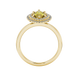 Marquise cut canary yellow gemstone ring, yellow gold falling edge halo setting.