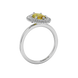 Side profile, white gold canary yellow ring, falling edge halo gallery.