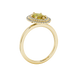 Side profile, yellow gold canary yellow ring, falling edge halo gallery.
