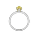 Marquise cut canary yellow gemstone ring, white gold scalloped six prong setting.