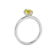 Side profile, white gold canary yellow ring, scalloped six prong gallery.