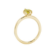 Side profile, yellow gold canary yellow ring, scalloped six prong gallery.