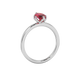 Side profile, white gold raspberry red ring, scalloped six prong gallery.
