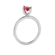 Side profile, white gold raspberry red ring, surprise diamond gallery.