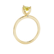 Side profile, yellow gold canary yellow ring, surprise diamond gallery.
