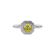 Asscher cut halo gemstone ring in gold featuring a 5.00 MM center gemstone surrounded by a double halo of round diamonds
