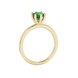 Royal Cushion Solitaire Gemstone Ring
