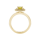 Yellow cushion cut gemstone double halo ring in rose gold