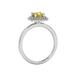 Yellow cushion cut gemstone double halo ring in rose gold