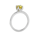 Yellow cushion cut solitaire ring with tulip basket setting in rose gold